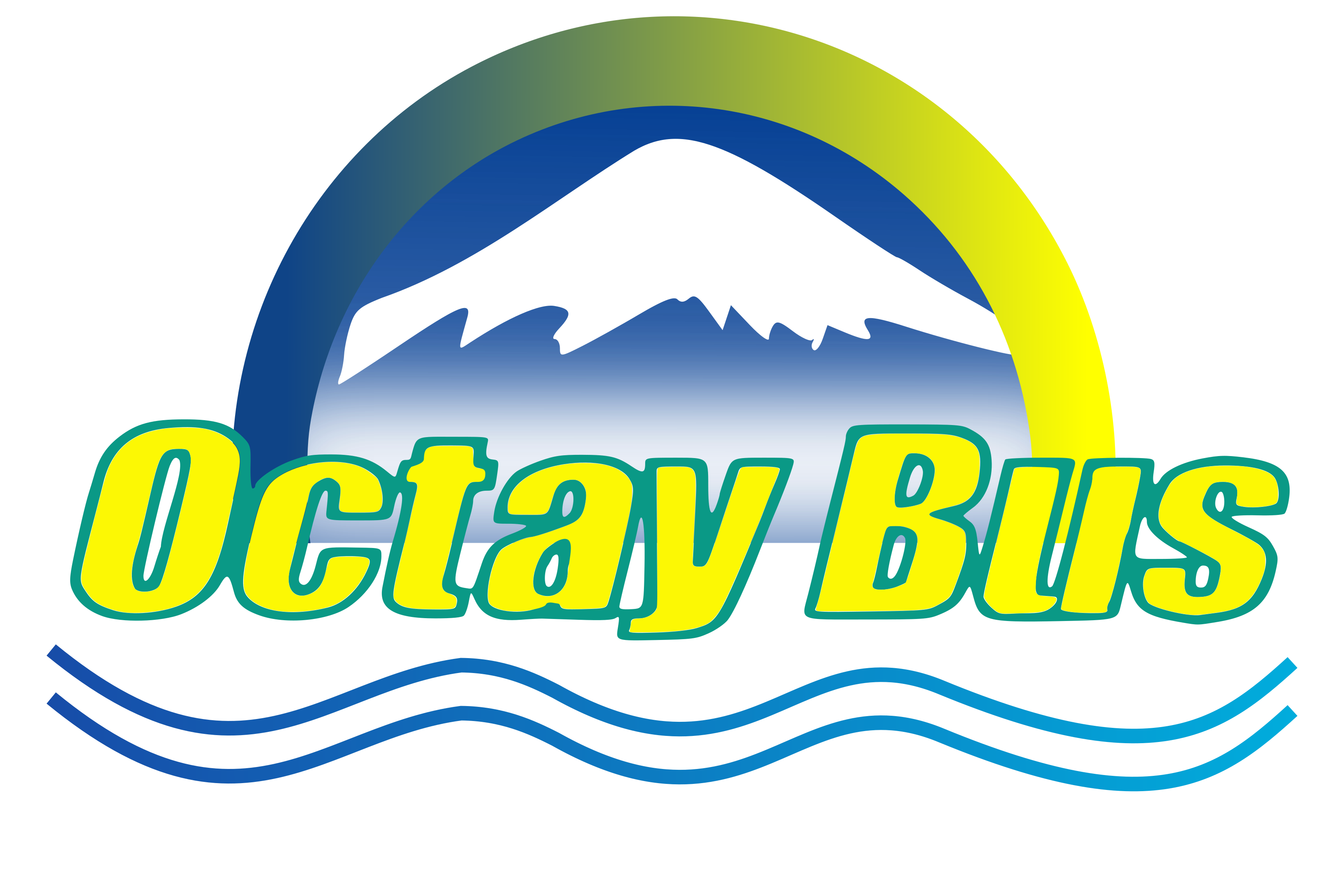Octay Bus