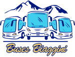 Buses Biaggini